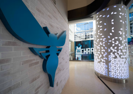 Hornet wall emblem at the renovated Spectrum Center